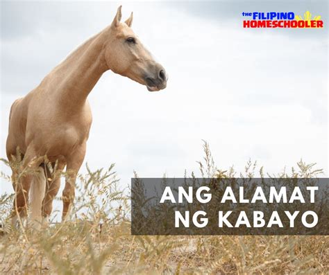 babae kinantot ng kabayo|Pinay Kinantot sa Pastolan ng Kabayo .